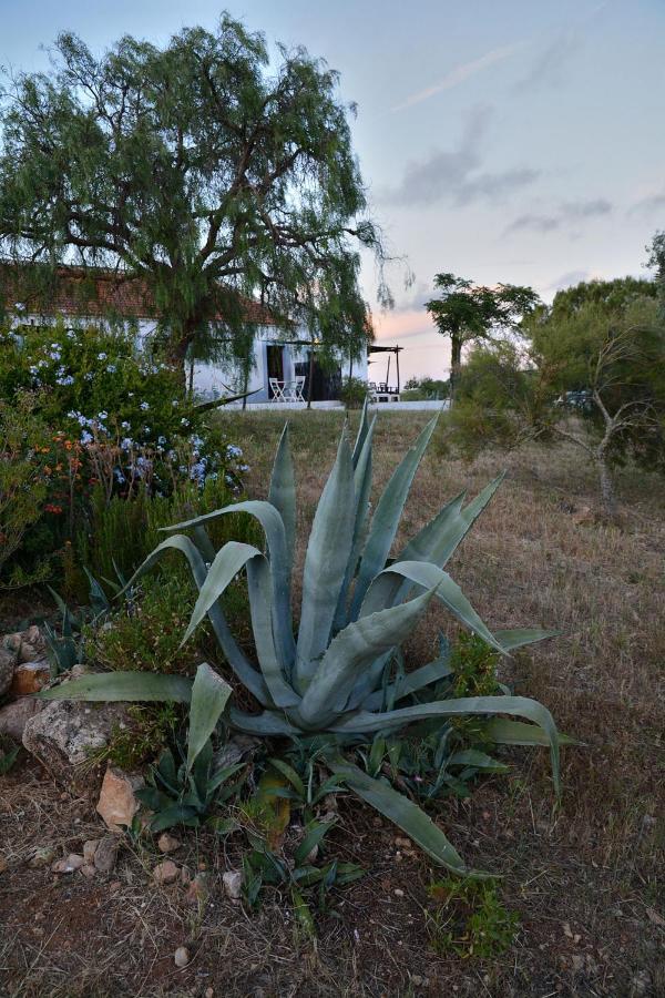Casas Na Vinha - Monte Da Casteleja, Wine Estate - Eco Turismo Rural Lagos Eksteriør bilde