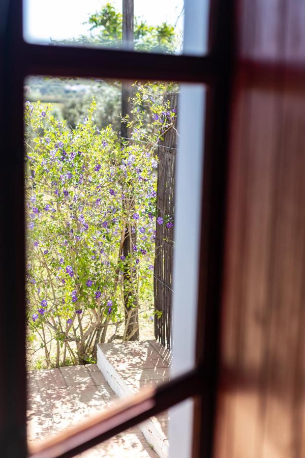 Casas Na Vinha - Monte Da Casteleja, Wine Estate - Eco Turismo Rural Lagos Eksteriør bilde